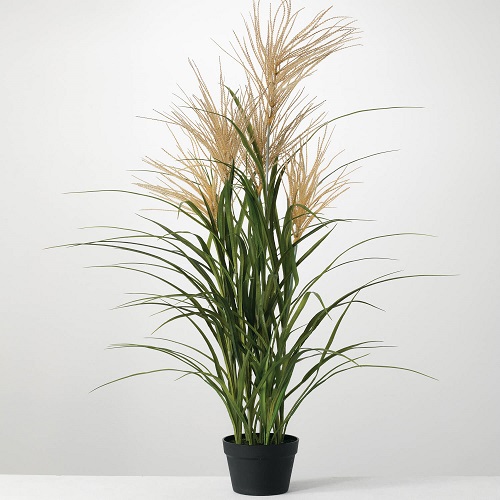 Potted Agave Reed Grass - Greenery & Floral - Tall artificial grass for Prom rental